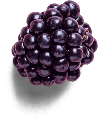 Plant Sciences Genetics